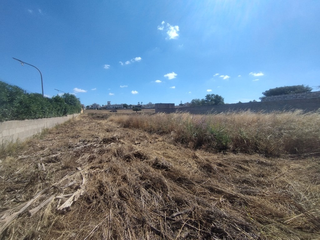 Giano Group Immobiliare